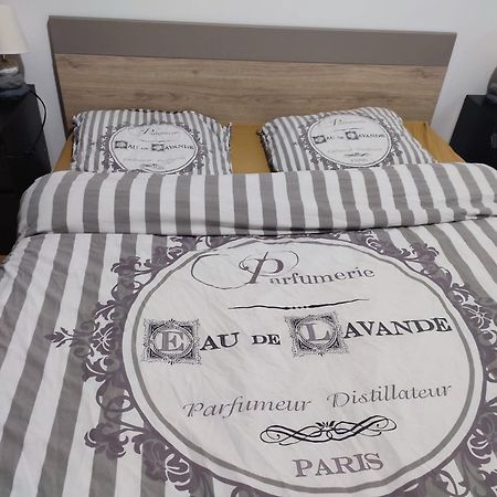 Grand Appartement Chaleureux Mirebeau-sur-Beze Dış mekan fotoğraf